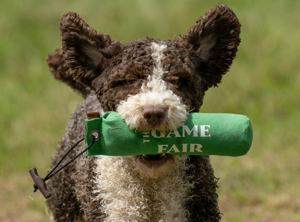 Save 10% on tickets to The Game Fair