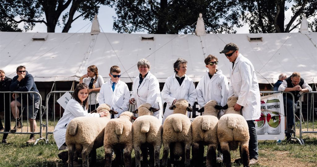 Farmers presenting their sheep in the sheep competition at the Royal Bath & West Show