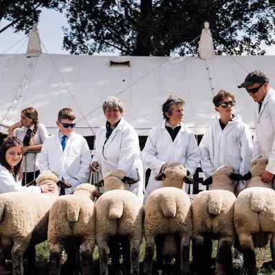 Farmers presenting their sheep in the sheep competition at the Royal Bath & West Show