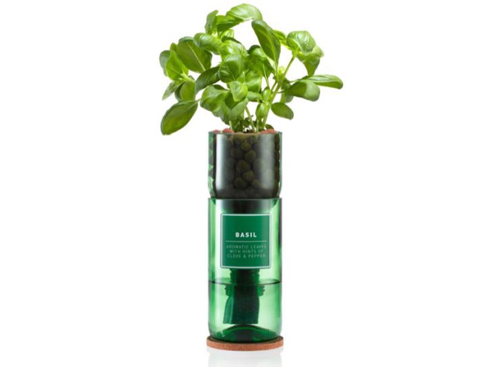 Win a Basil Herb Kit from Hydro-Herb