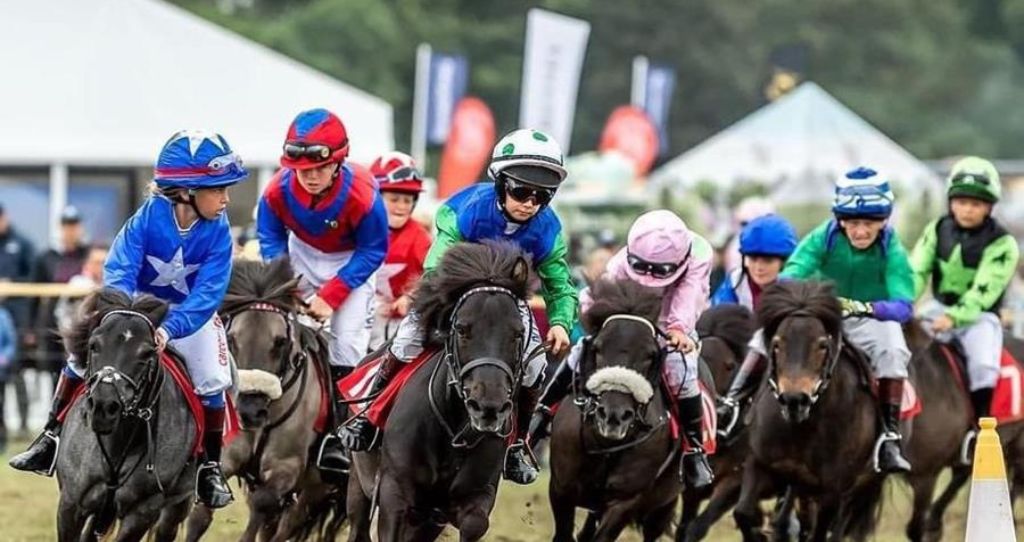 East Anglian Game and Country Fair pony race